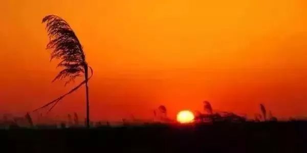 上海值得去的免费景点排名前十,上海最值得去免费景点