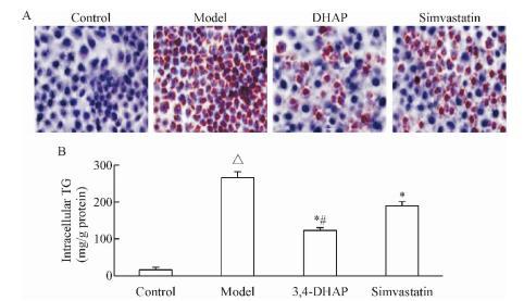 洗澡多了会虚吗,为什么洗澡的时候会变聪明