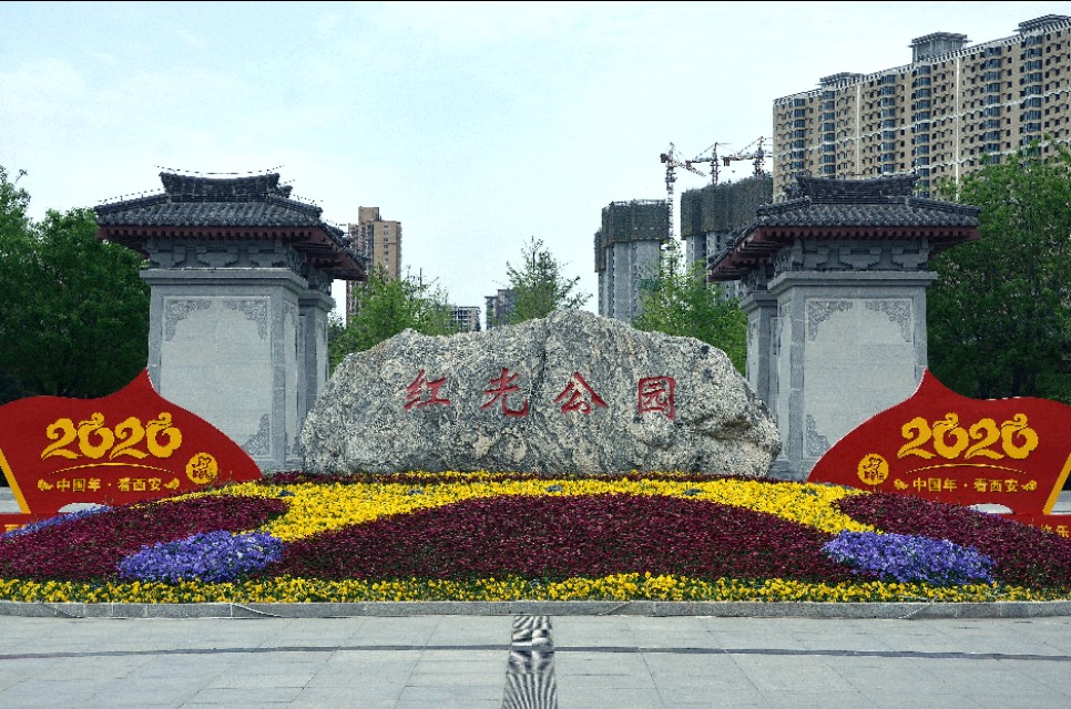 如果你路过西郊,有幽香沁入心脾,那定是从红光公园飘来的槐花香