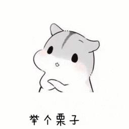 外汇技术分析知识大全,外汇技术分析讲解