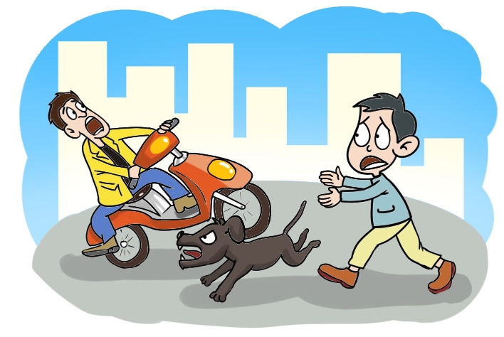 遛狗不拴绳被车压了车主该赔钱吗,遛狗不拴绳被车压了谁的责任