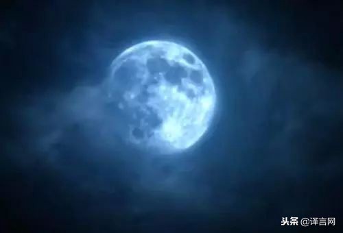 原来狼人可没有你想的那么浪漫，坏事做多了才会变成“狼人”！