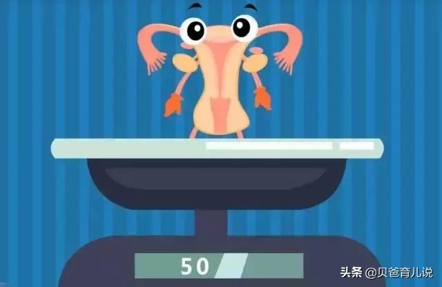 产后恢复那点事：如何判断子宫恢没恢复好？大姨妈啥时候来报道？