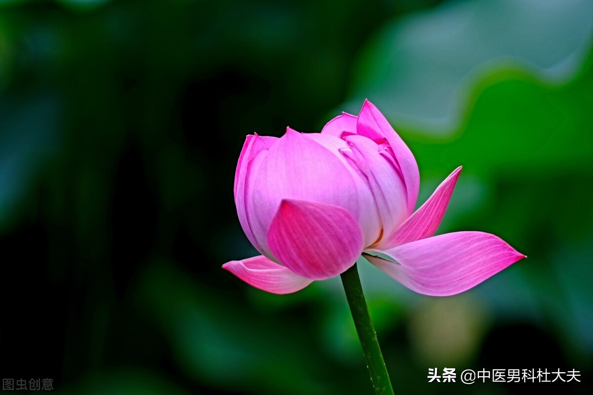 腰膝酸软失眠精神乏力怎么治,中医说的心肾不交是什么意思