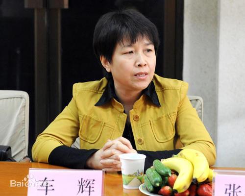 车氏全国字辈,车姓氏全国排位