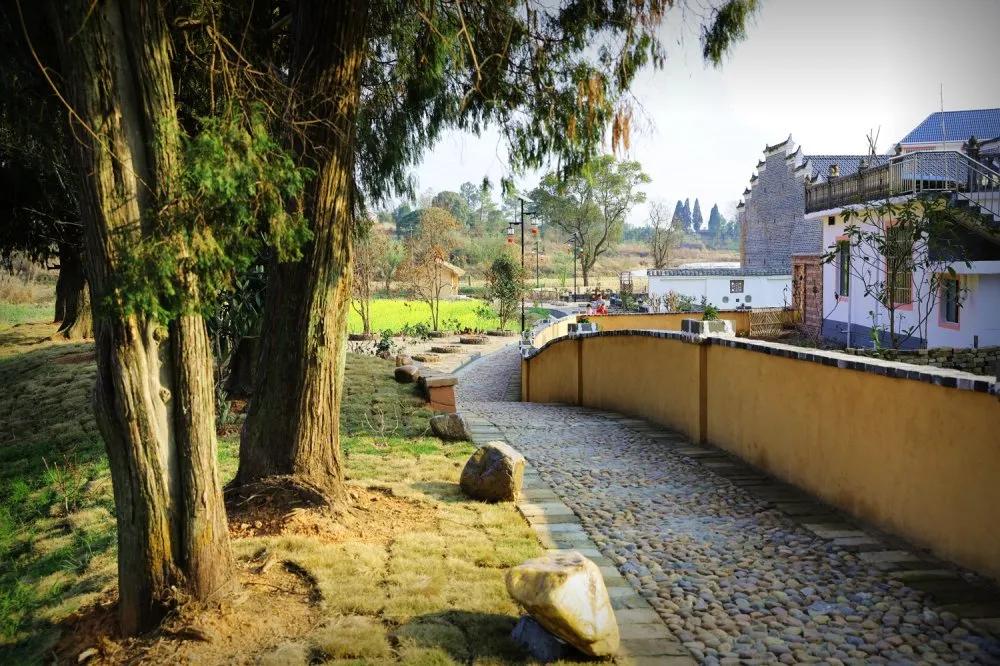 【谁不说咱家乡美】美丽中国，“乡”约万安（河西片）