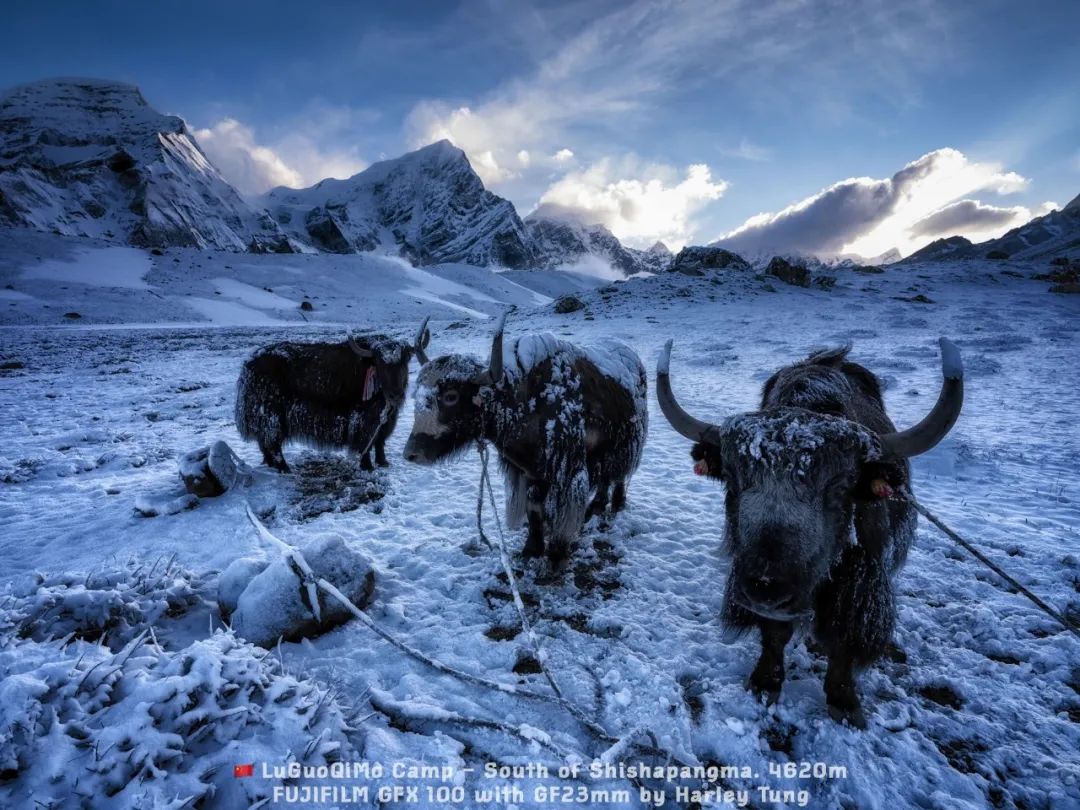 希夏邦马峰能看到珠峰吗,希夏邦玛峰珠峰