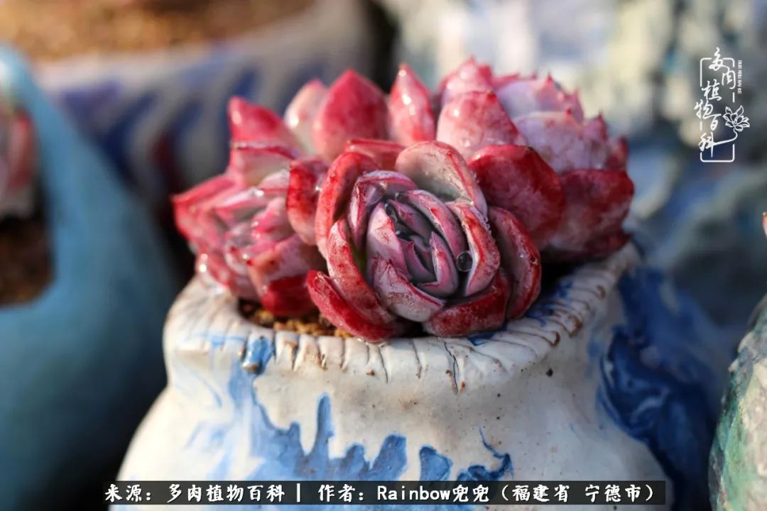 岁月无波澜余生不悲欢是啥意思,愿你岁月无波澜敬我余生无悲欢