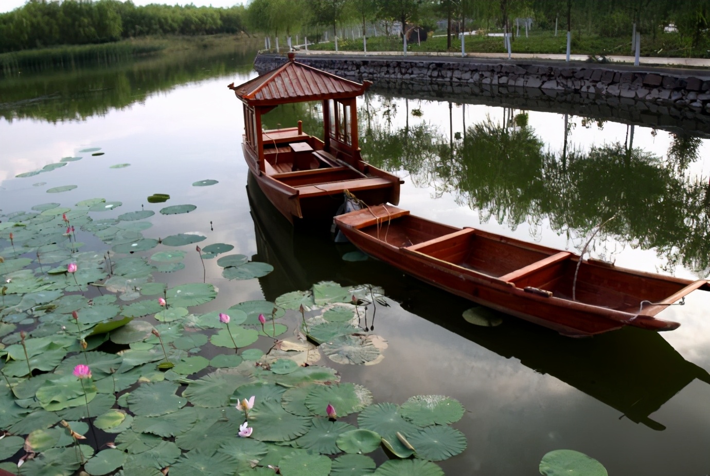 出淤泥而不染濯清涟而不妖歌曲,出淤泥而不染濯清涟而不妖意思