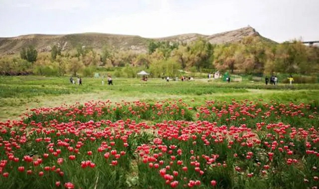 乌鲁木齐人民怎么过的“五一”？时间表来了，他们每天是这样过！