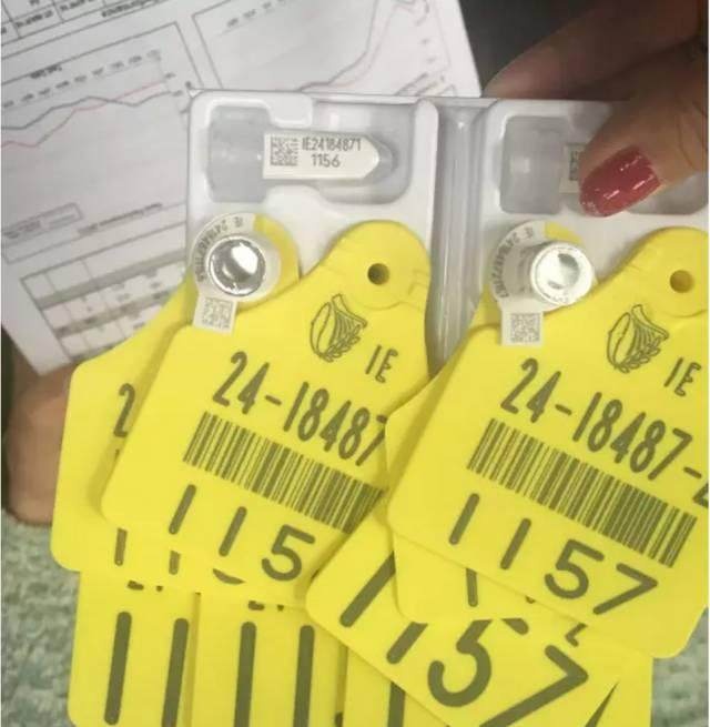 如何选择合适的婴幼儿奶粉,三段奶粉几个月开始换合适