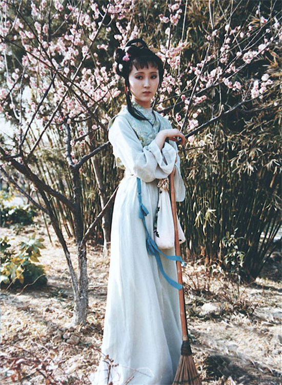 红楼梦中人参养荣丸介绍,黛玉吃的人参养荣丸有什么含义