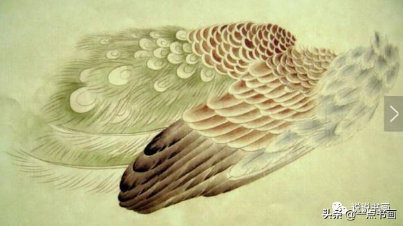 工笔国画孔雀画高清大图,工笔孔雀的画法步骤