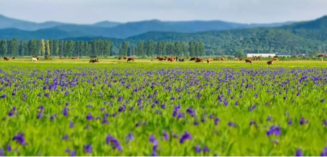 敦化十一旅游注意事项,敦化十一自驾游最值得去的地方