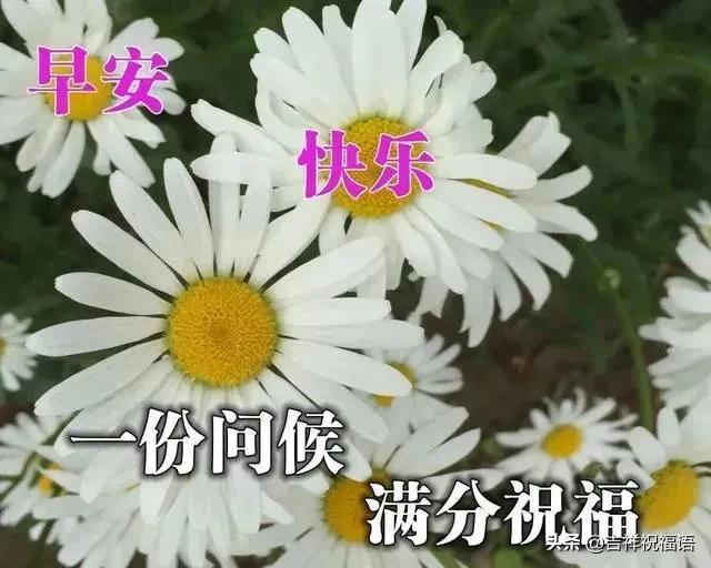 人生一辈子努力争取得失一切随缘,人生就是一个过客不必在意结果