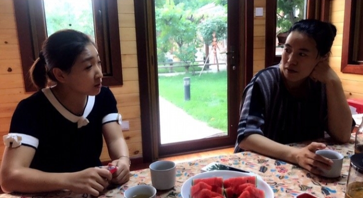 王楠刘诗雯现状,刘诗雯和王楠近况