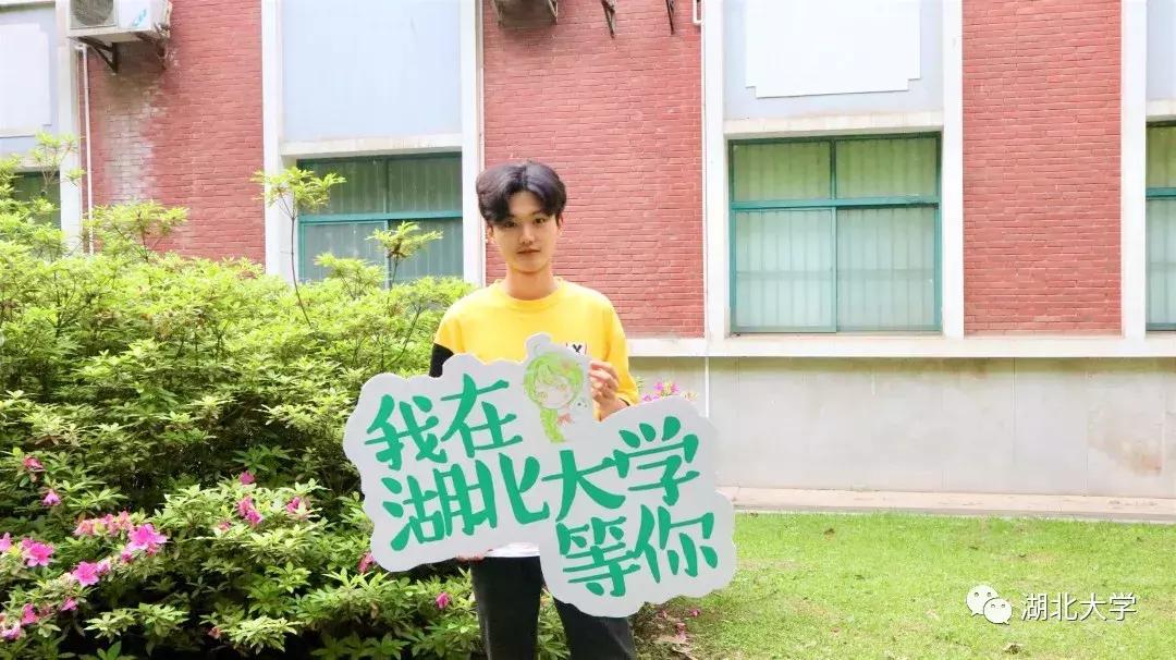 高考志愿湖北大学,高考志愿填报湖北大学