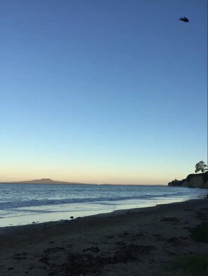 新西兰生活大不同,新西兰生活21年的真实感受