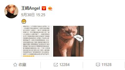 双十一疯狂购物的好时机,双十一倒计时开始剁手