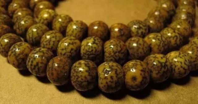 星月菩提如何盘玩成白的,星月菩提奶油黄怎么盘