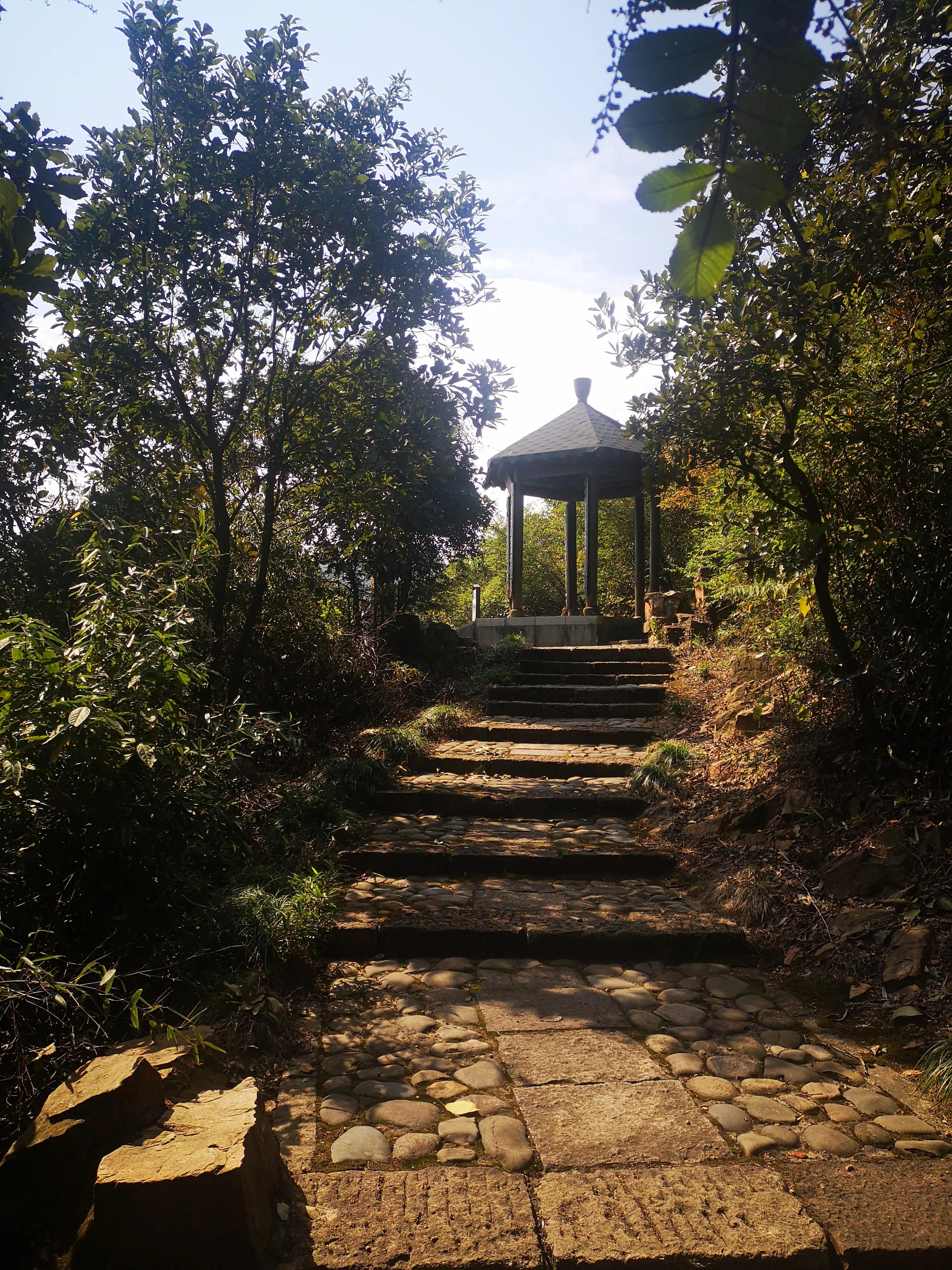 皋亭山爬山活动,皋亭山爬山入口在哪里