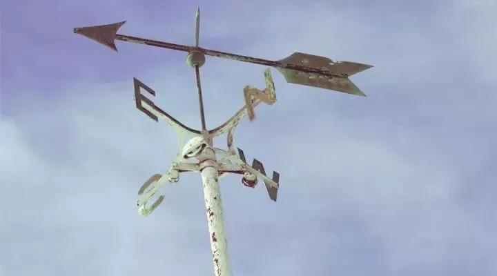 女人其实是一种很简单的动物,女人是一种很特别的动物