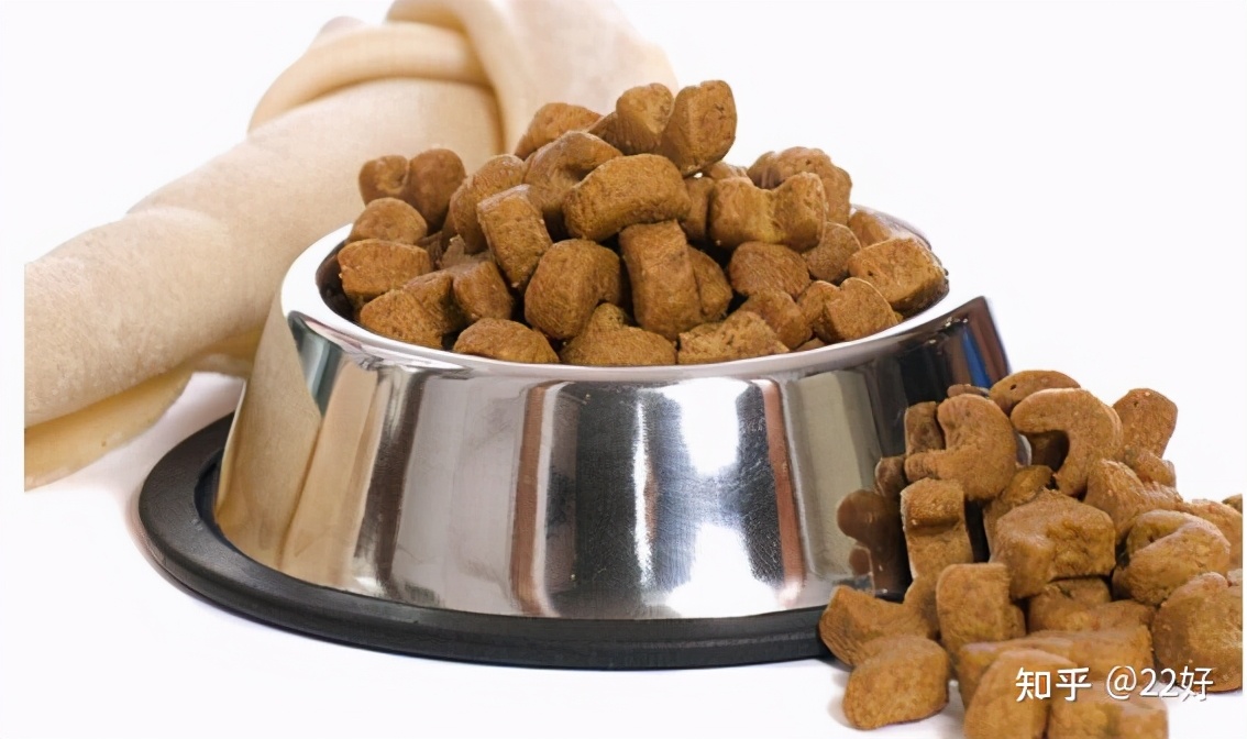 雪纳瑞脱毛吗,雪纳瑞脱毛严重是什么原因