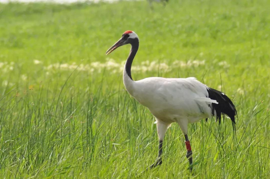 几个闺蜜自驾游的视频,一群闺蜜旅行视频