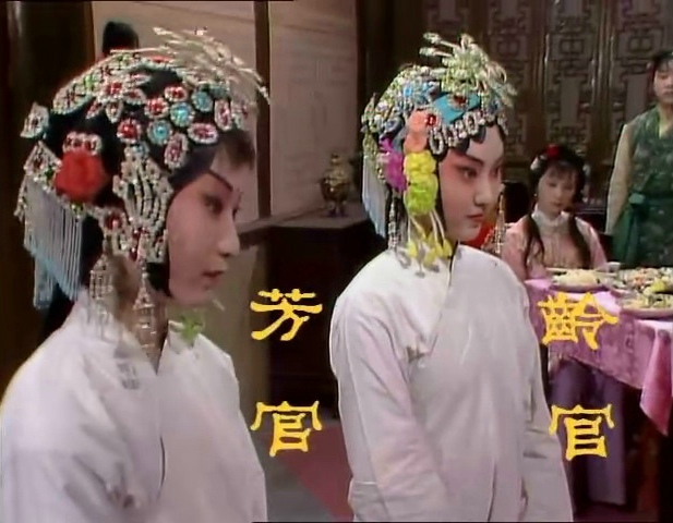 我们应该如何对待红楼梦,红楼梦里的赵姨娘有什么用