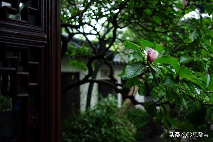 夏日诗句精选,30首夏日诗词人间最美是初夏