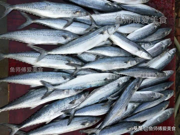 春季野生海鱼,应季野生海鱼