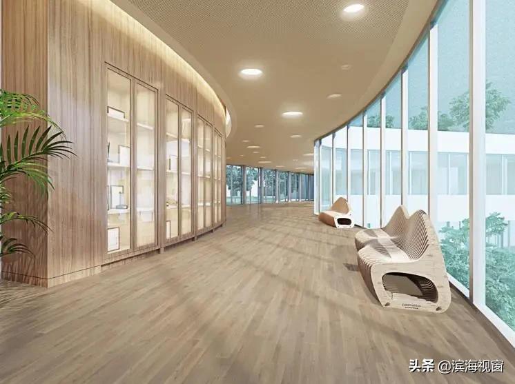 天津滨海新区重点小学一览表,天津滨海新区南开小学