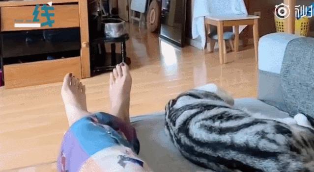 猫地震的时候没有反应,地震了猫会有反应吗