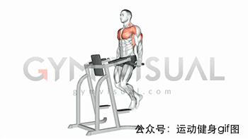 100张肌肉分解图,手臂肌肉的爆发力怎么练