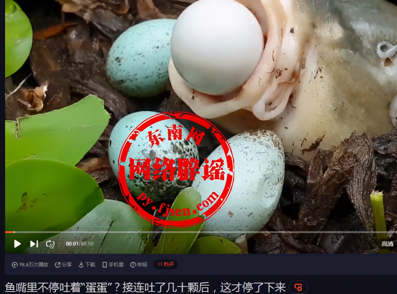 鱼吐蛋是怎么回事,鱼嘴里吐出很多鱼的是什么鱼