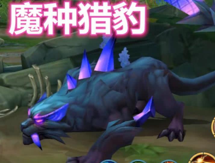 峡谷3d视角,3d视角峡谷