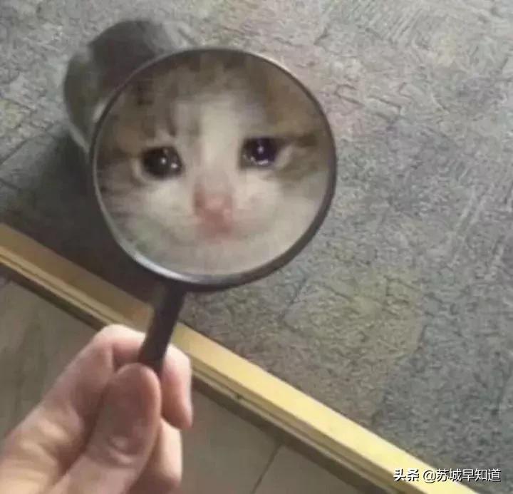 全场夏季新品7.5折起,全场夏装5折起