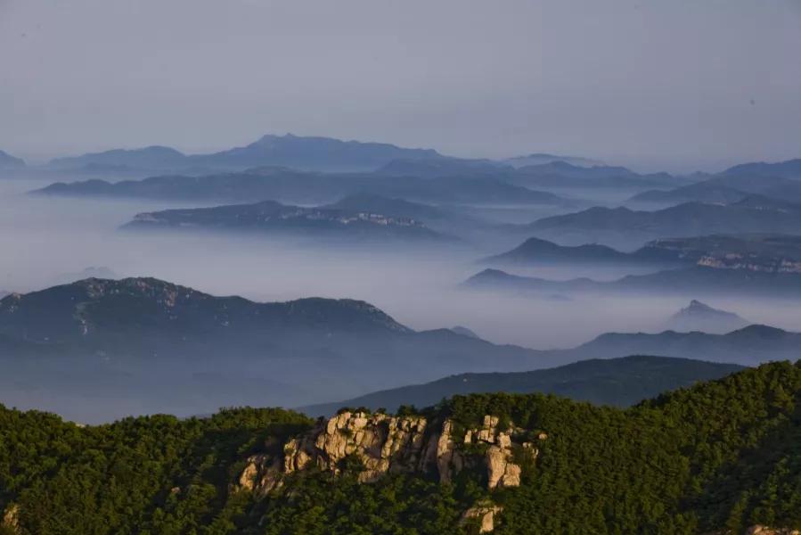 潍坊这5条颜值爆表的自驾线路，藏着美景无数，每一公里都美到极致！