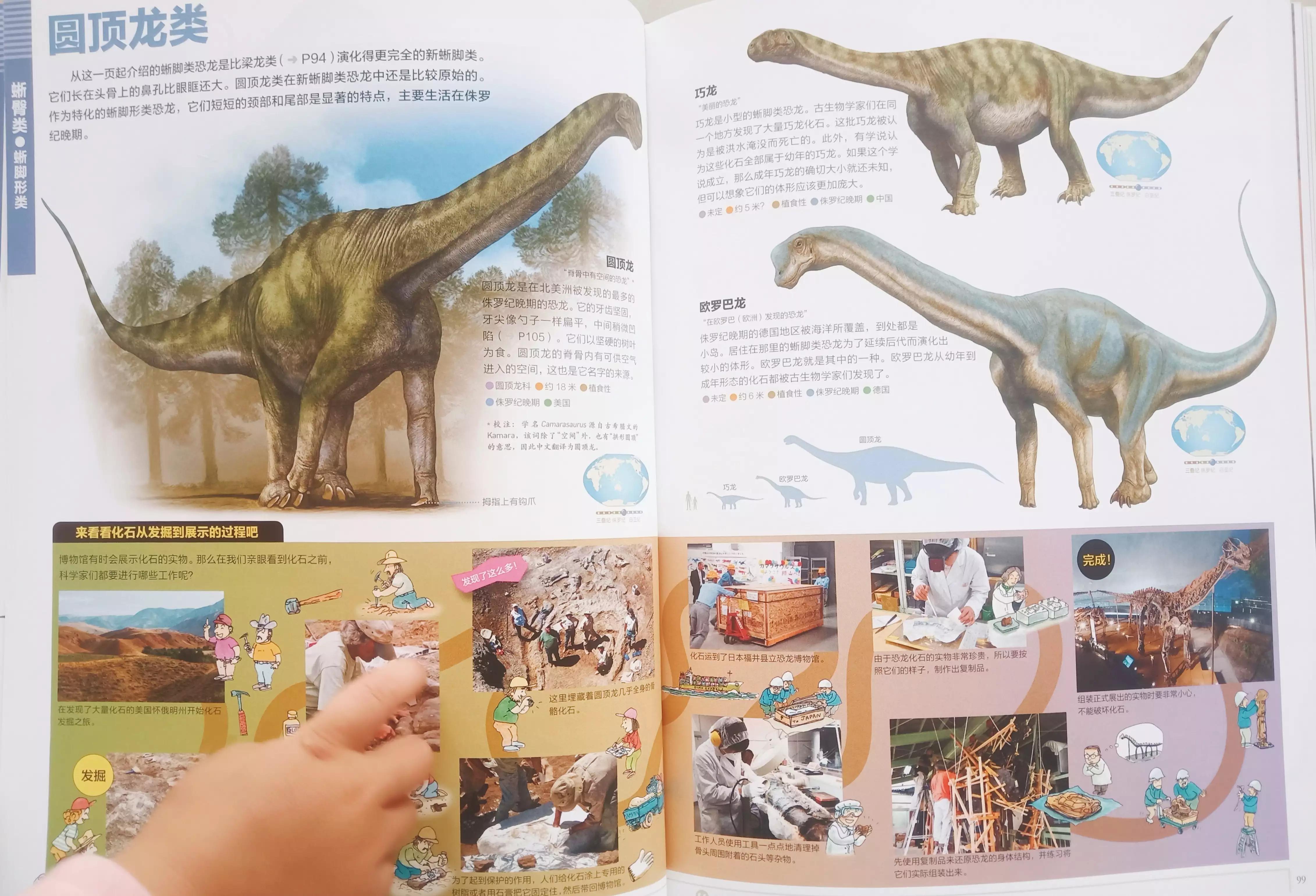 恐龙百科知识儿童版6岁,适合8到9岁男孩看的恐龙百科全书