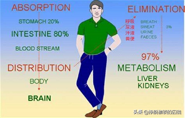 辟谣！有的人身藏“酒漏”，可千杯不醉，还可出一身汗快速醒酒？