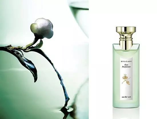 如果一生只选一瓶香水丨你千万不能选错味道