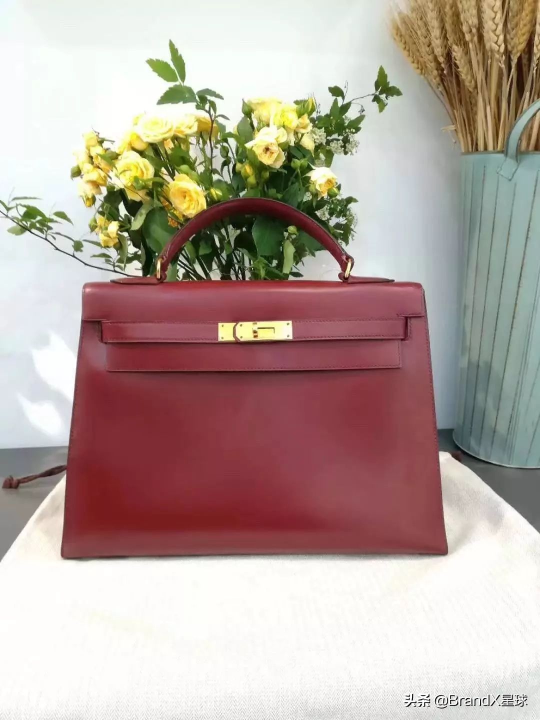 爱马仕昂贵的真相,爱马仕比较奇怪的包包