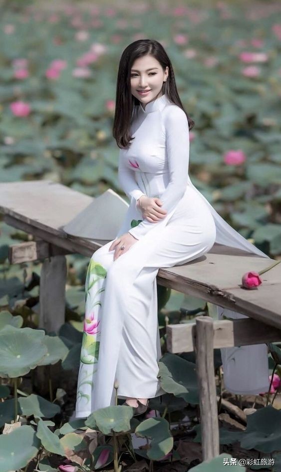 越南文化中国服饰,越南传统文化服饰