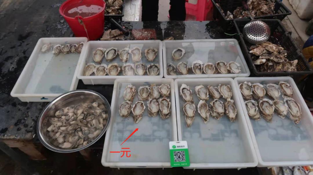 在海南岛最霸气的渔港码头,海南十大渔港码头