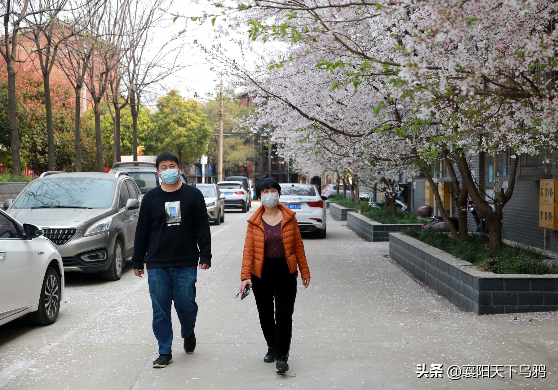 一些事情,谁都不愿意做,但总得有人去做