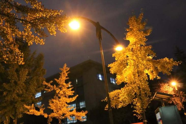 西安邮电大学成考推荐理由,西安邮电大学为什么排名靠后