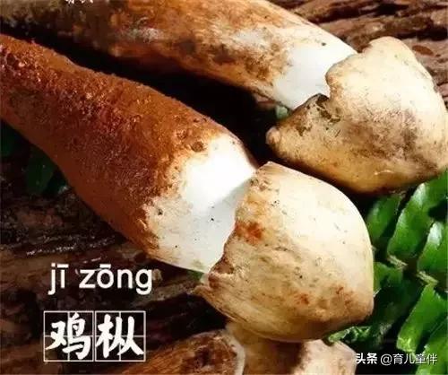 最常见的食物名字,容易读错的食物名称