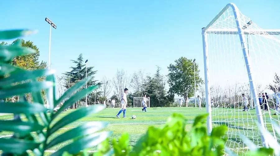 河南建业足球队为什么受欢迎,河南建业足球俱乐部2023年