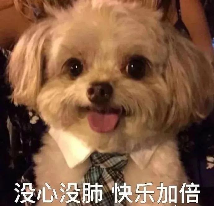 什么样的女生适合网上相亲,快餐式相亲找对象