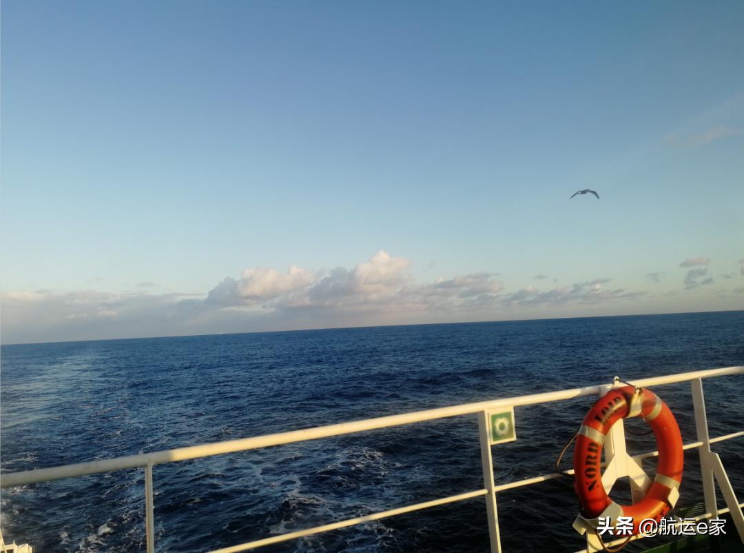 海员船员的故事,远洋船员真实故事